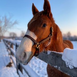 Meet your Posher, Erendira